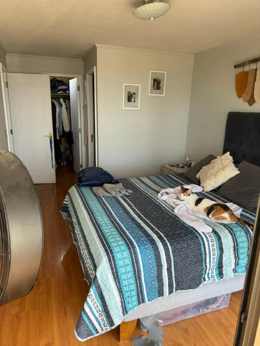 Arriendo Departamento 2D Barrio Italia - Providencia