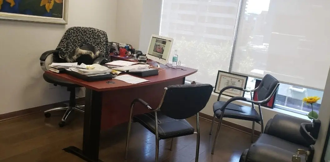 Venta Oficina NO 1B 1E Pedro de Valdivia - Providencia