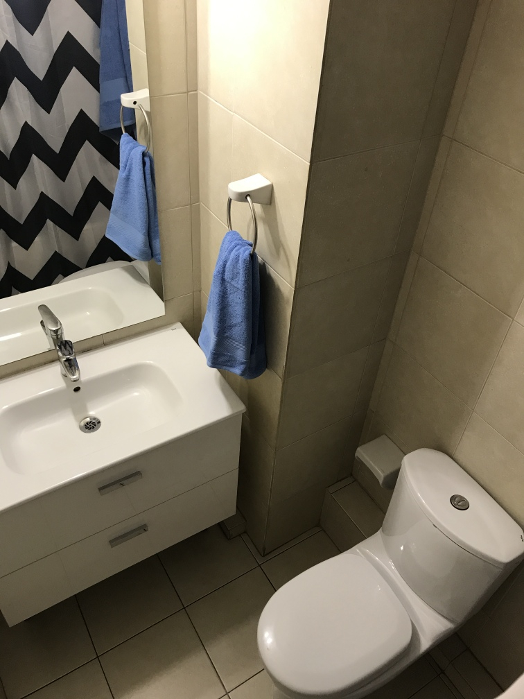 Arriendo Departamento 3D 2B 1E 1B Barrio Italia - Providencia