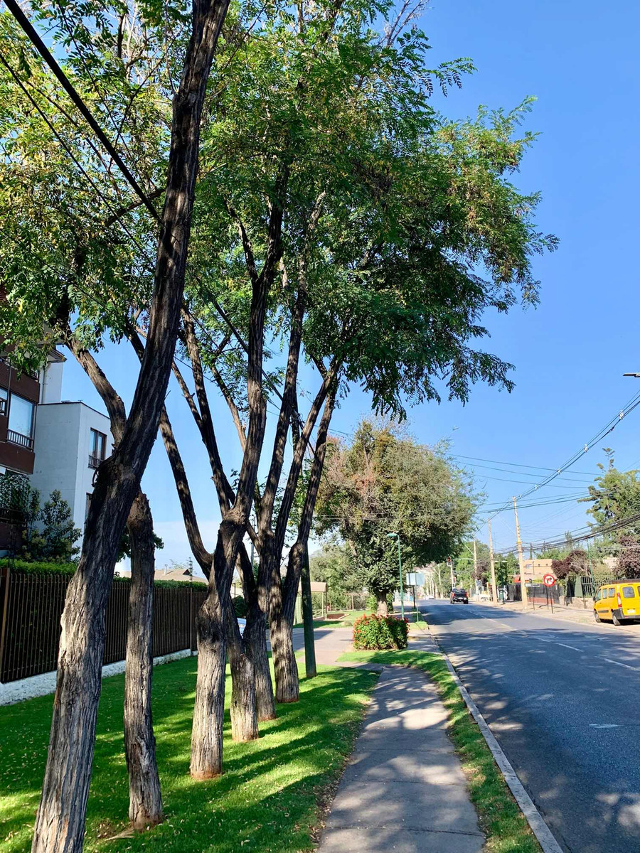 Venta Departamento NO 4D en suite Walk-in cl&oacute;set 2B 1E 1B Antigua Lo Barnechea - Lo Barnechea