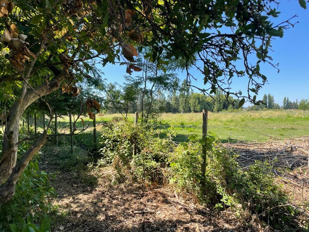 Venta Casa N 5D en suite 3B 3E 1B  - Linares