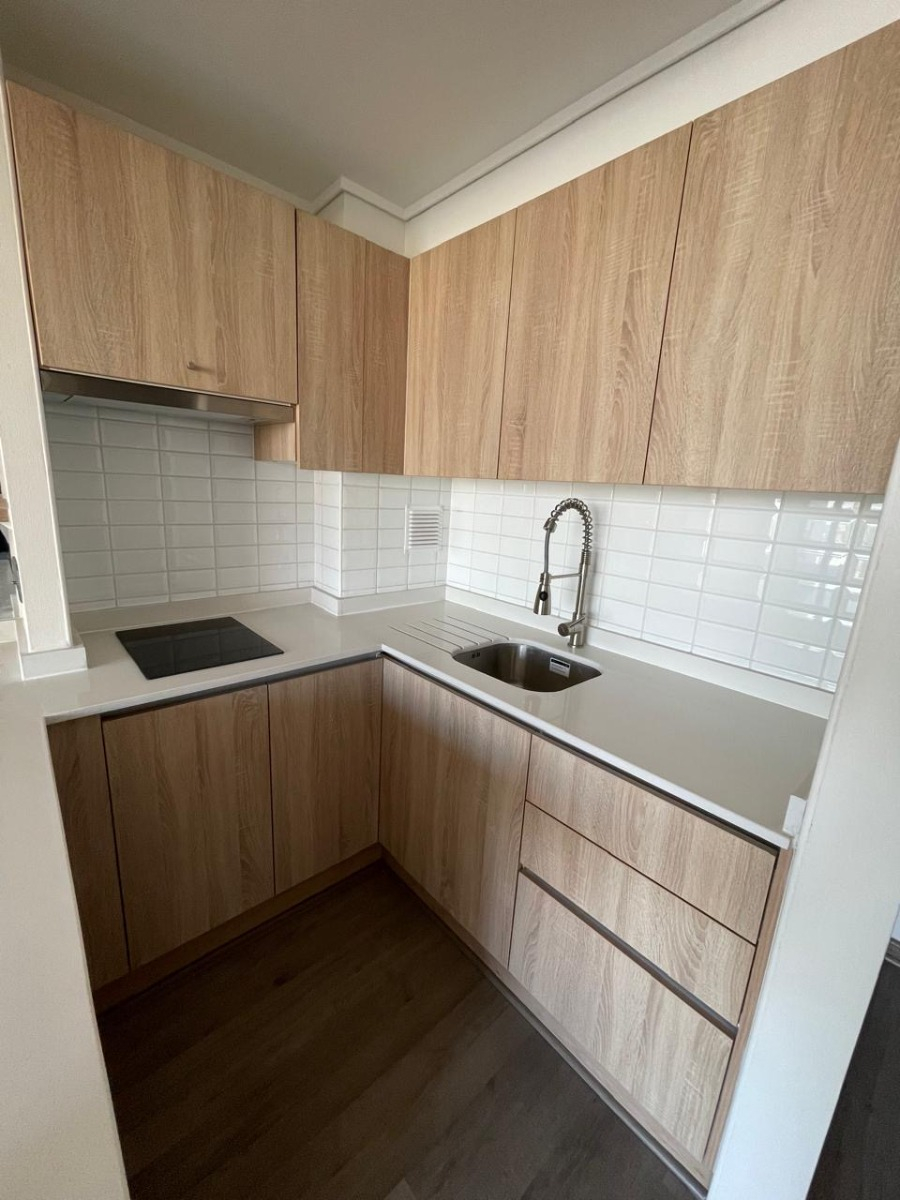 Venta Departamento SP 1D en suite 1B 1E 1B In&eacute;s de Su&aacute;rez - Providencia