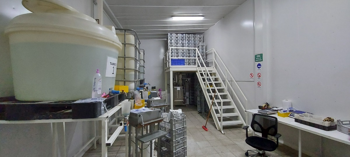 Galpon Industrial Quinta Normal