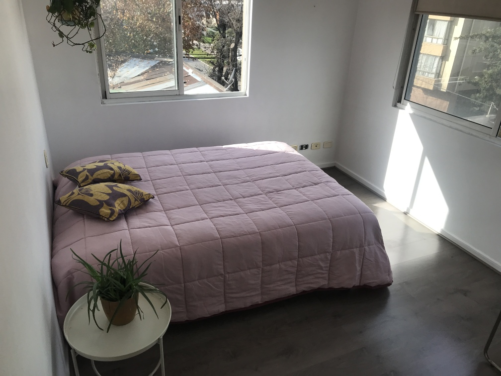 Arriendo Departamento 3D 2B 1E 1B Barrio Italia - Providencia