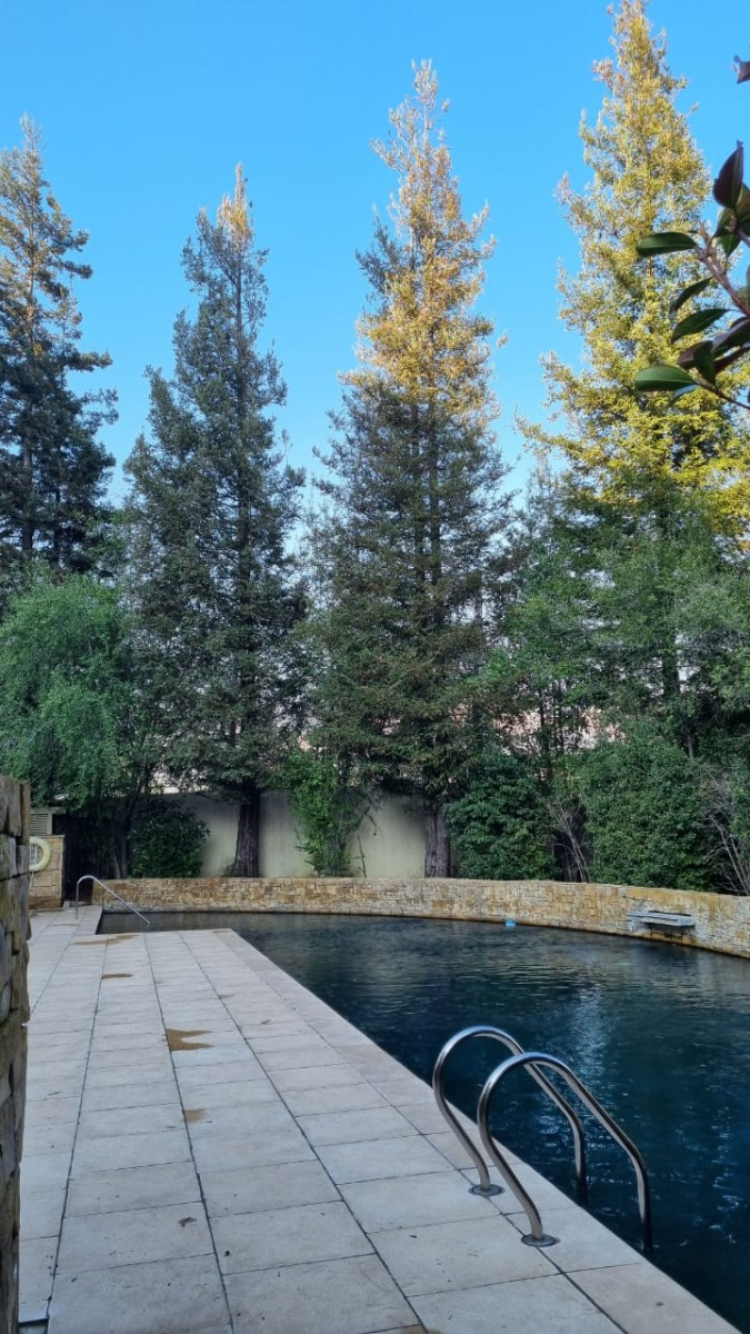 Venta Departamento P 4D 5B 2E 1B Santa Mar&iacute;a de Manquehue - Vitacura