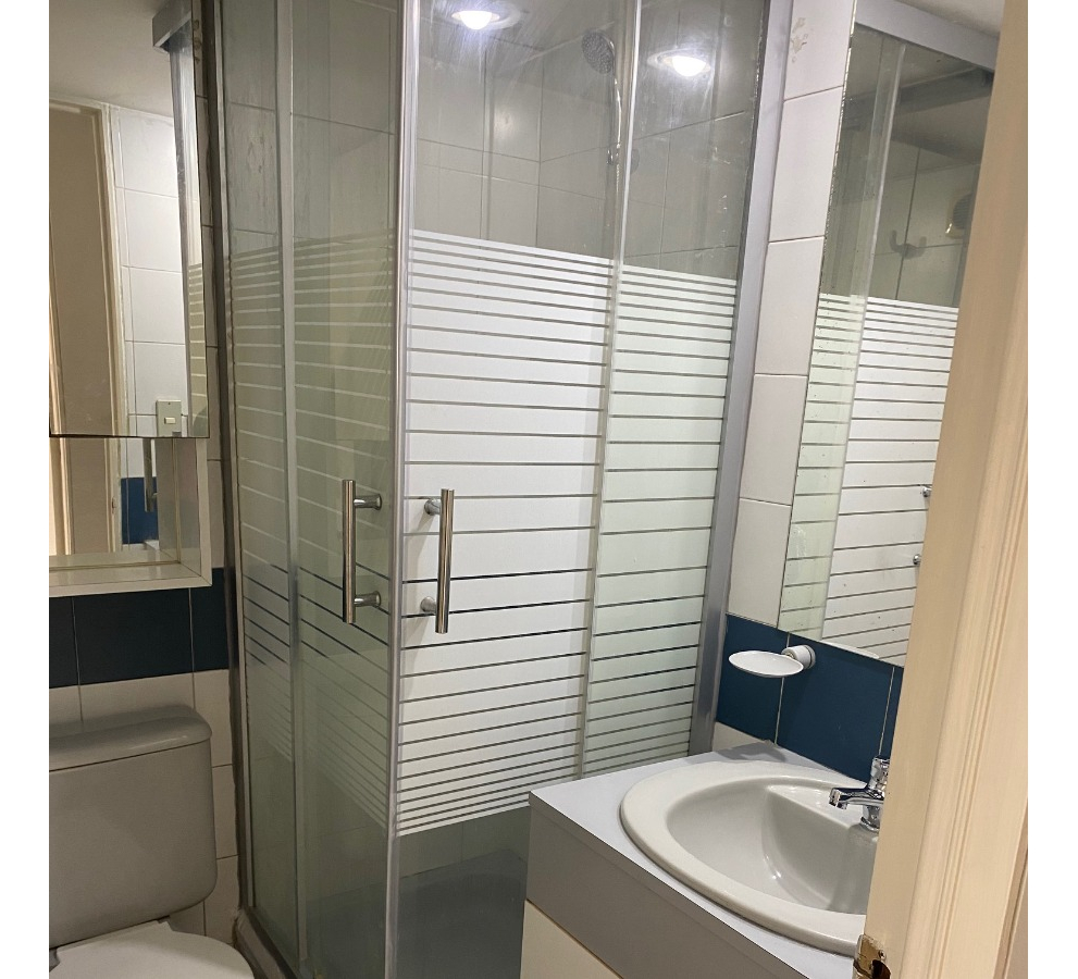 Arriendo Departamento SP 3D 3B 1E 1B Pedro de Valdivia - Providencia