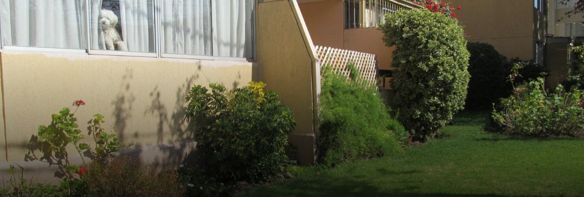 Arriendo Departamento P 3D 2B 1E  - La Reina