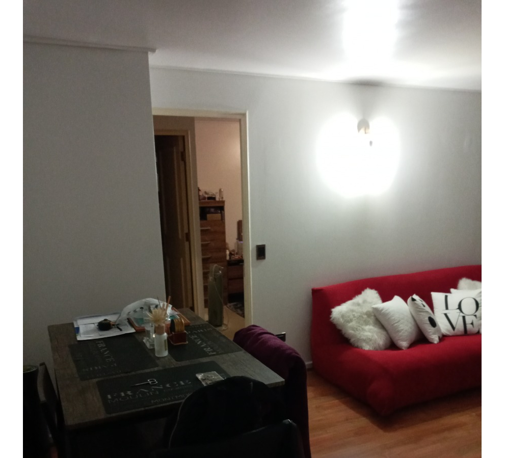 Venta Departamento NP 1D en suite Walk-in cl&oacute;set 1B 1B Las Lilas - Providencia