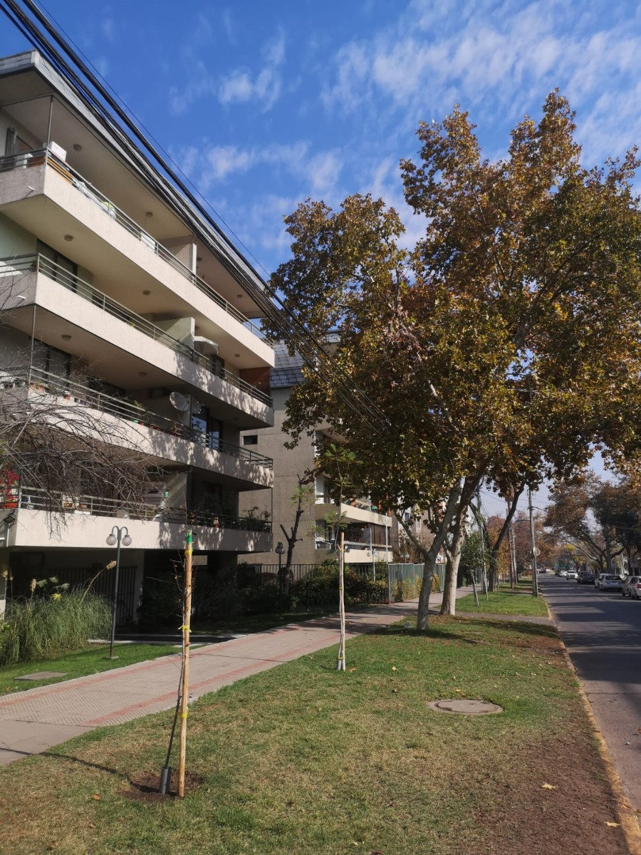 Venta Departamento O 1D en suite Walk-in cl&oacute;set 1B 1E Campus Oriente - Providencia
