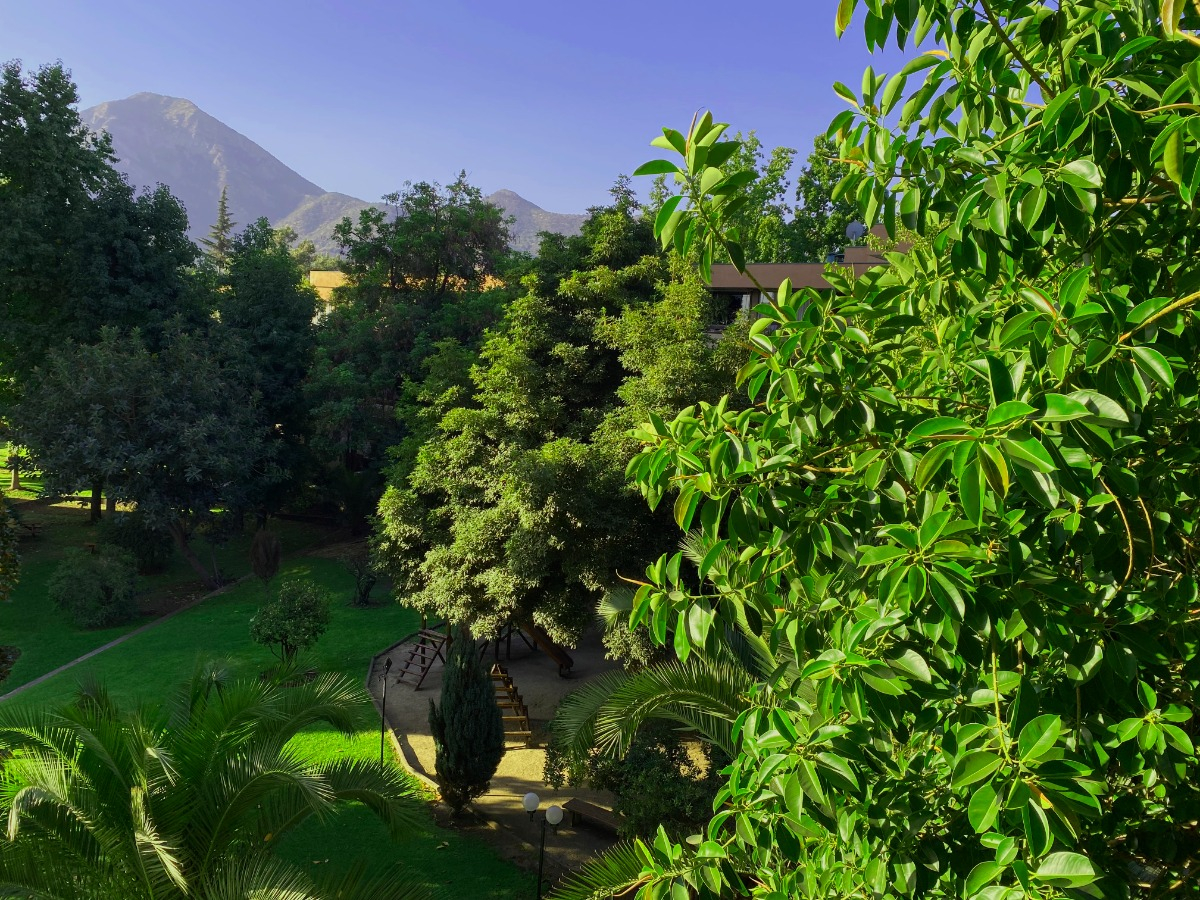 Venta Departamento O 3D 3B 1E 1B Juan XXIII - Vitacura