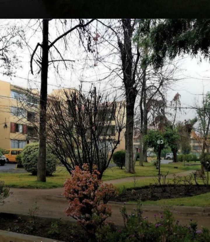 Venta Departamento 3D Carlos Ossand&oacute;n - La Reina