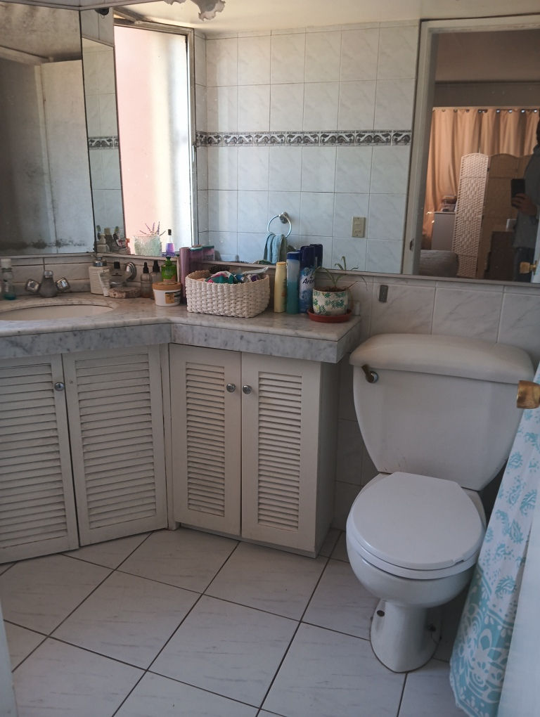 Arriendo Departamento 2D 2B 1E Los Leones - Providencia