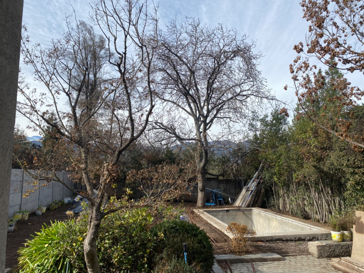 Arriendo Casa NO 4D en suite Walk-in cl&oacute;set 4B 3E La Dehesa - Lo Barnechea