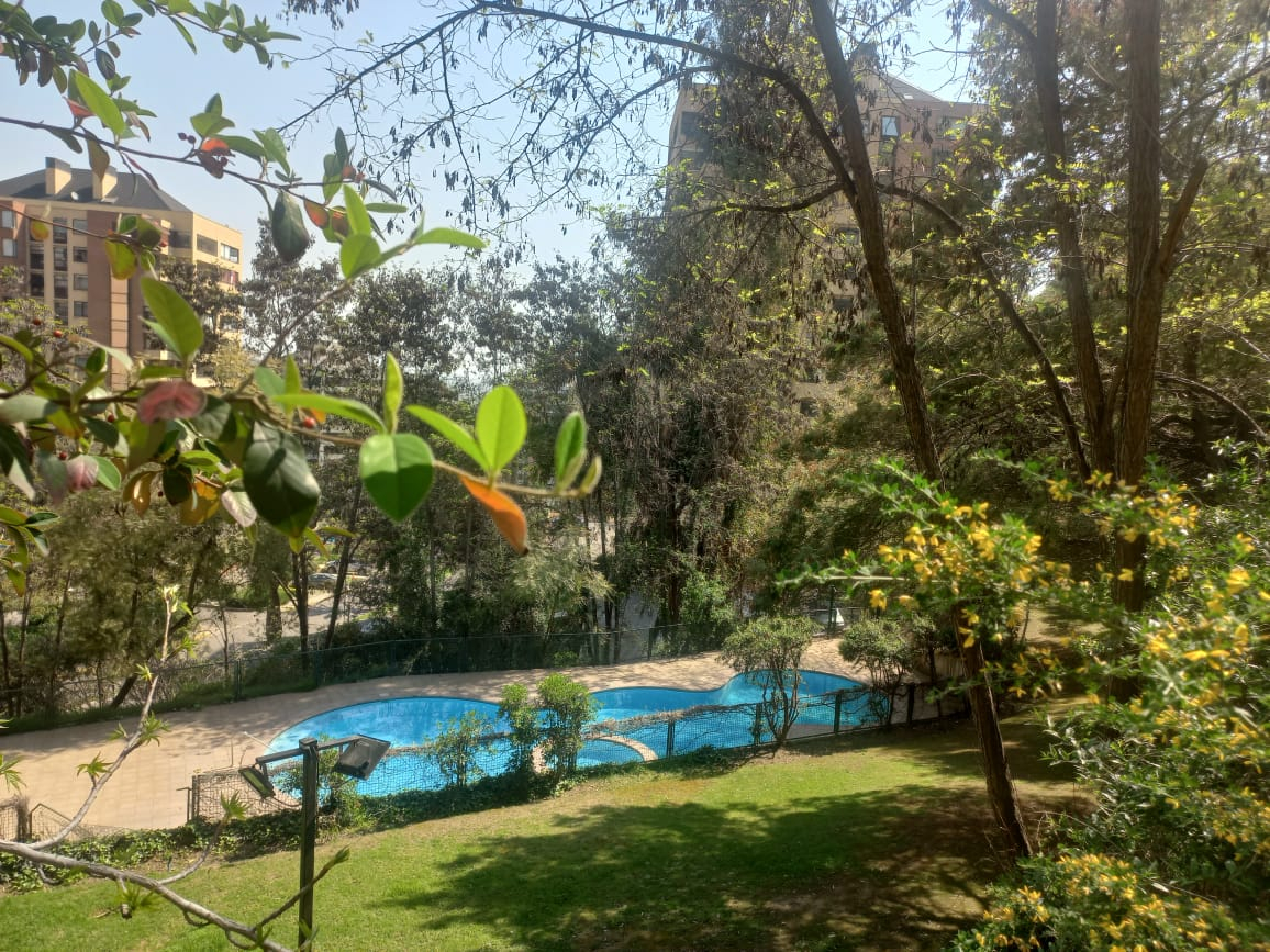 Venta Departamento 3D 3B 1E Las Lilas - Providencia