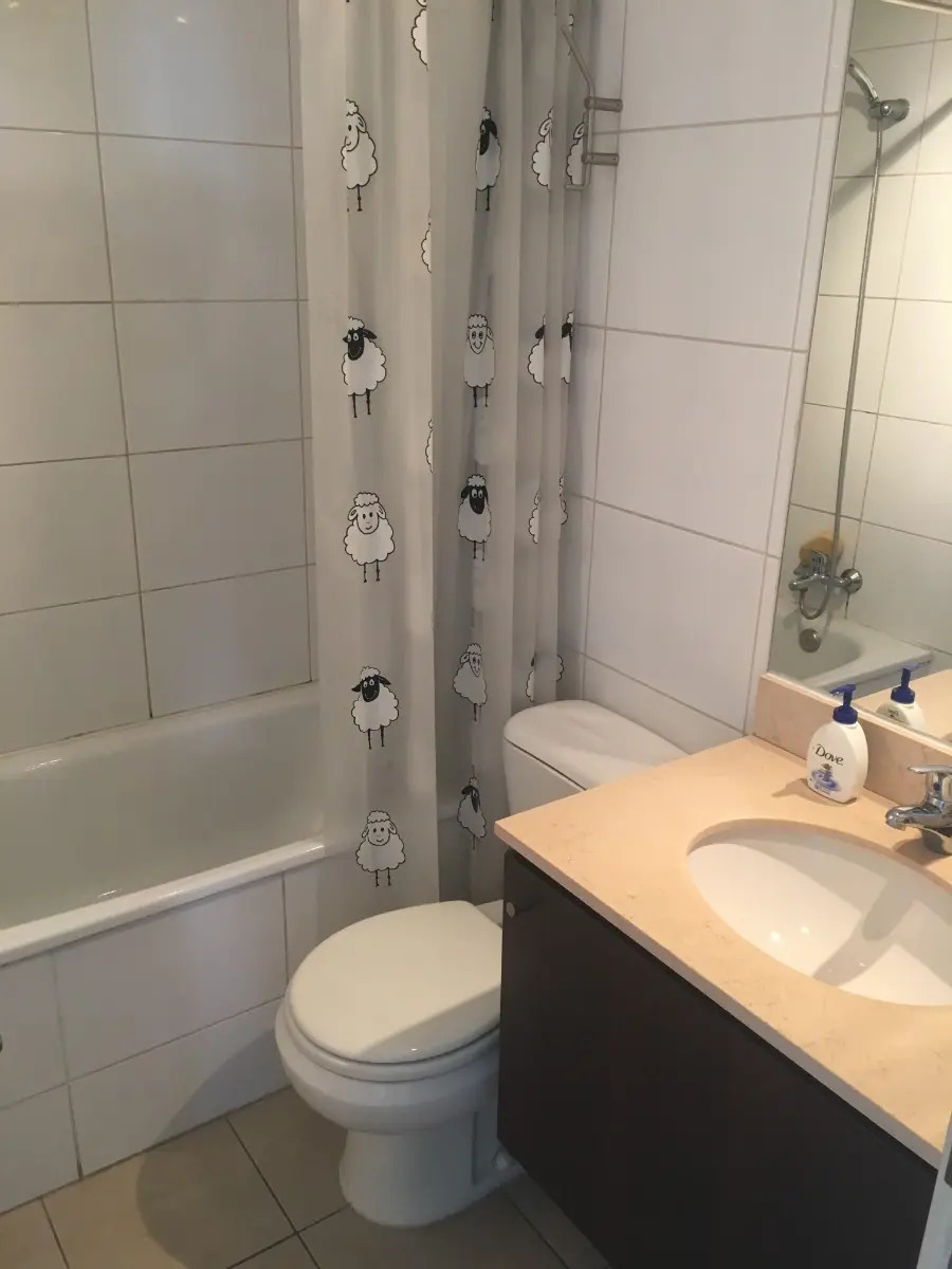 Arriendo Departamento SP 2D en suite 2B 1E 1B  - Providencia
