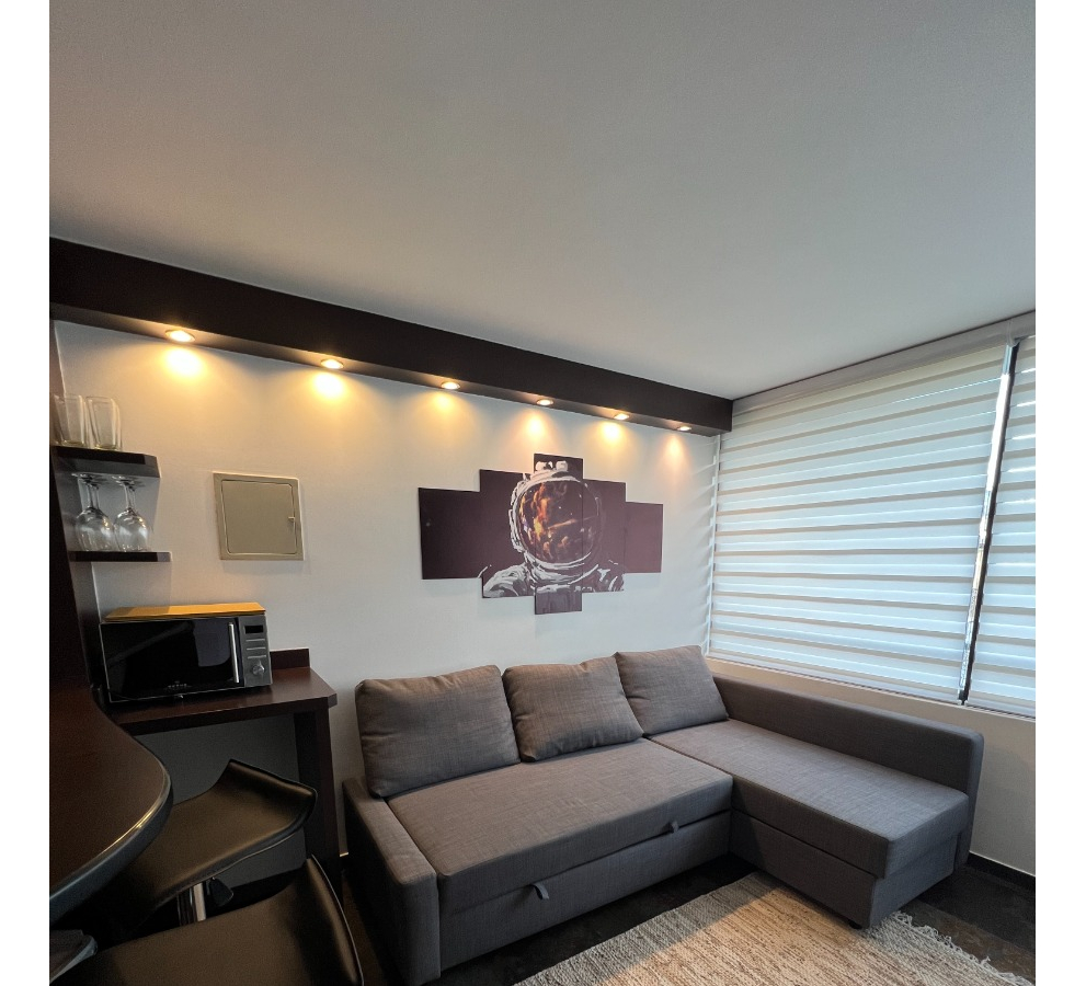 Venta Departamento 1D Los Leones - Providencia