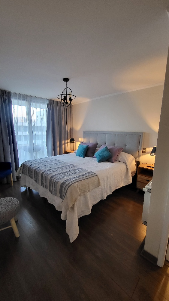 Arriendo Departamento 3D 3B 2E 1B In&eacute;s de Su&aacute;rez - Providencia