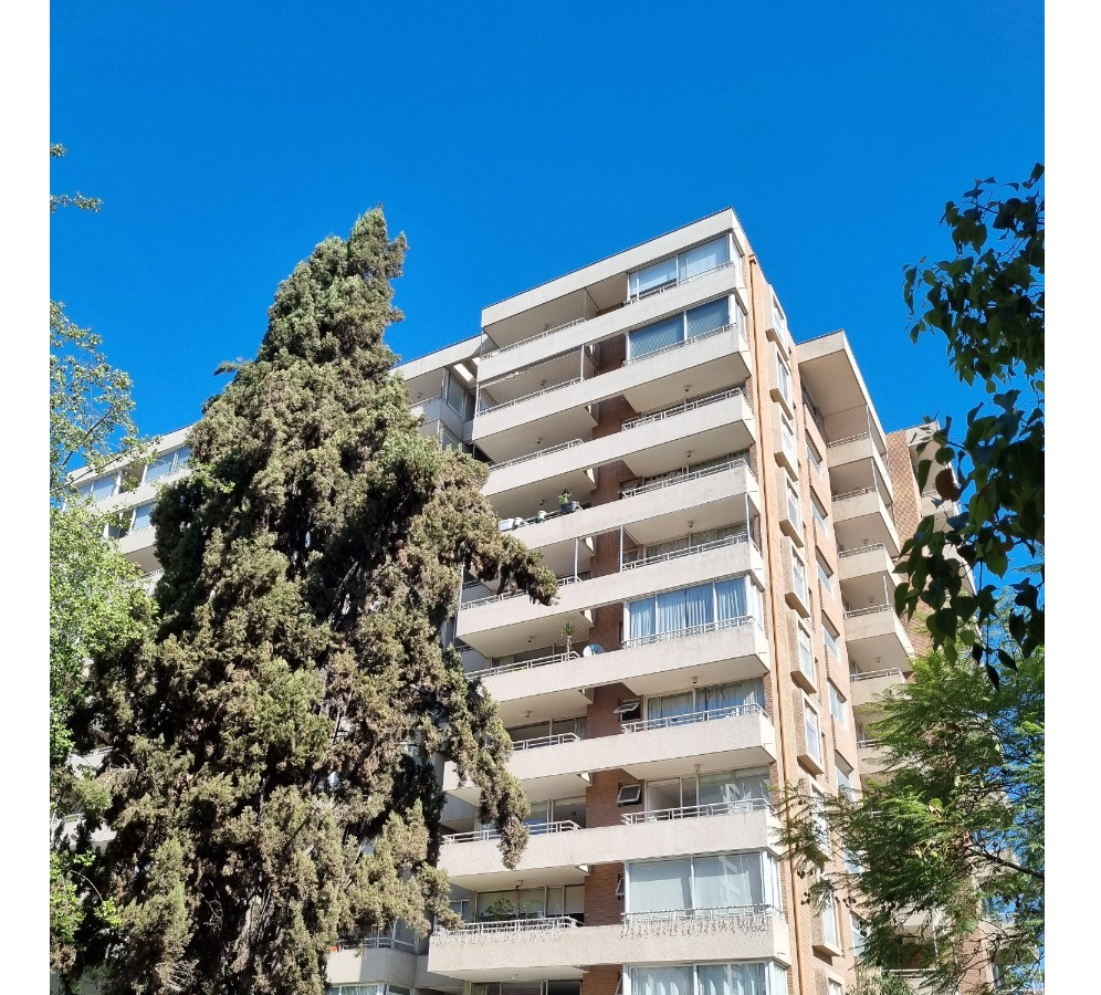 Arriendo Departamento 3D 3B 2E 1B  - Providencia