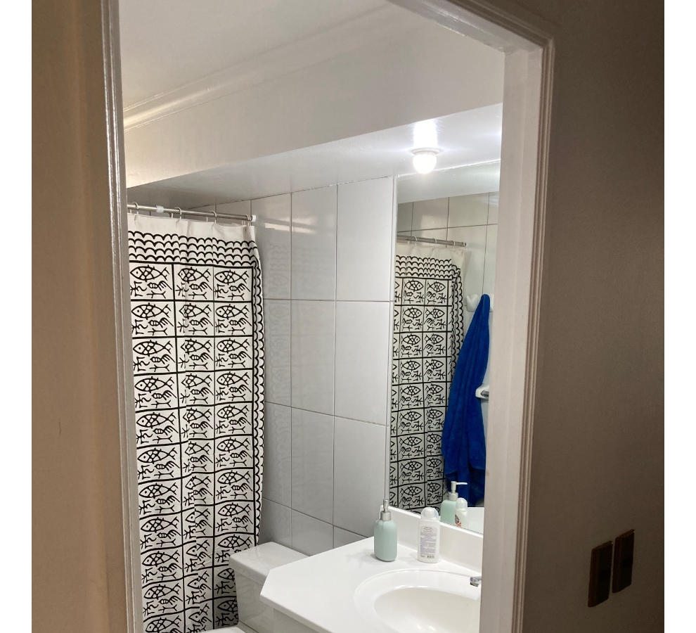 Venta Departamento SP 1D en suite 1B 1E Las Lilas - Providencia