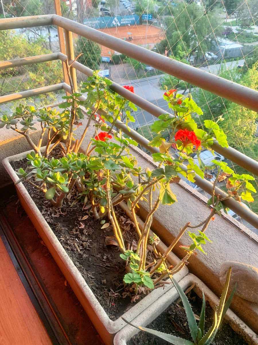 Venta Departamento 4D 4B 2E Metro Manquehue - Apumanque - Las Condes