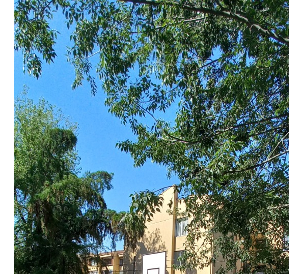 Venta Departamento 3D 2B 1E 1B Carlos Ossand&oacute;n - La Reina