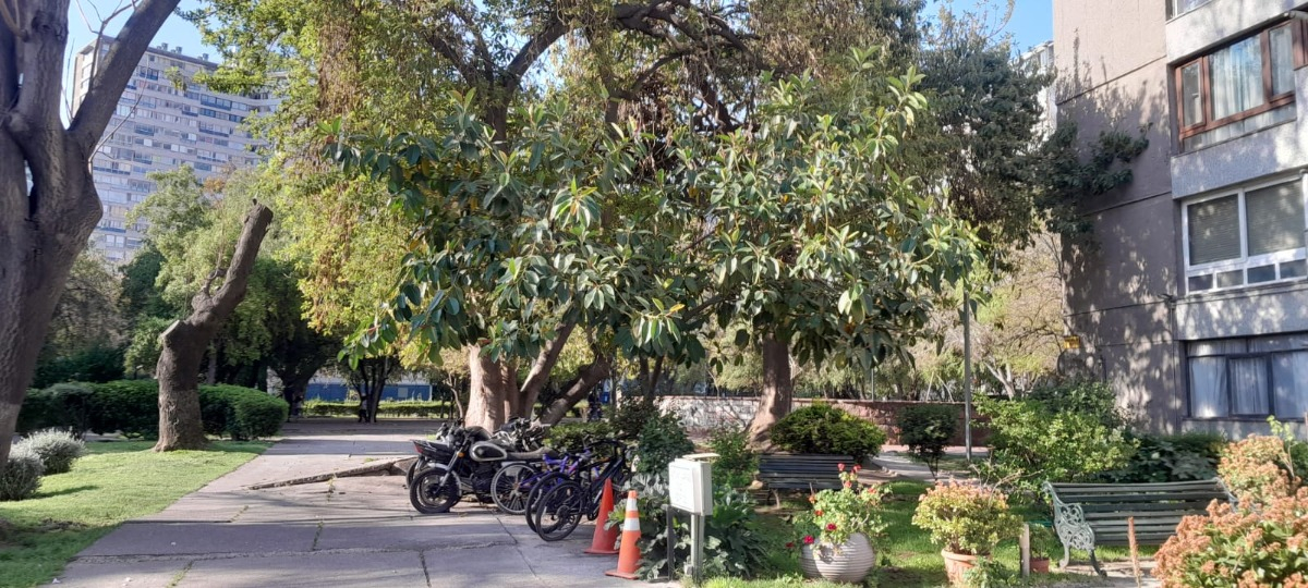 Venta Departamento 3D 2B Pedro de Valdivia - Providencia