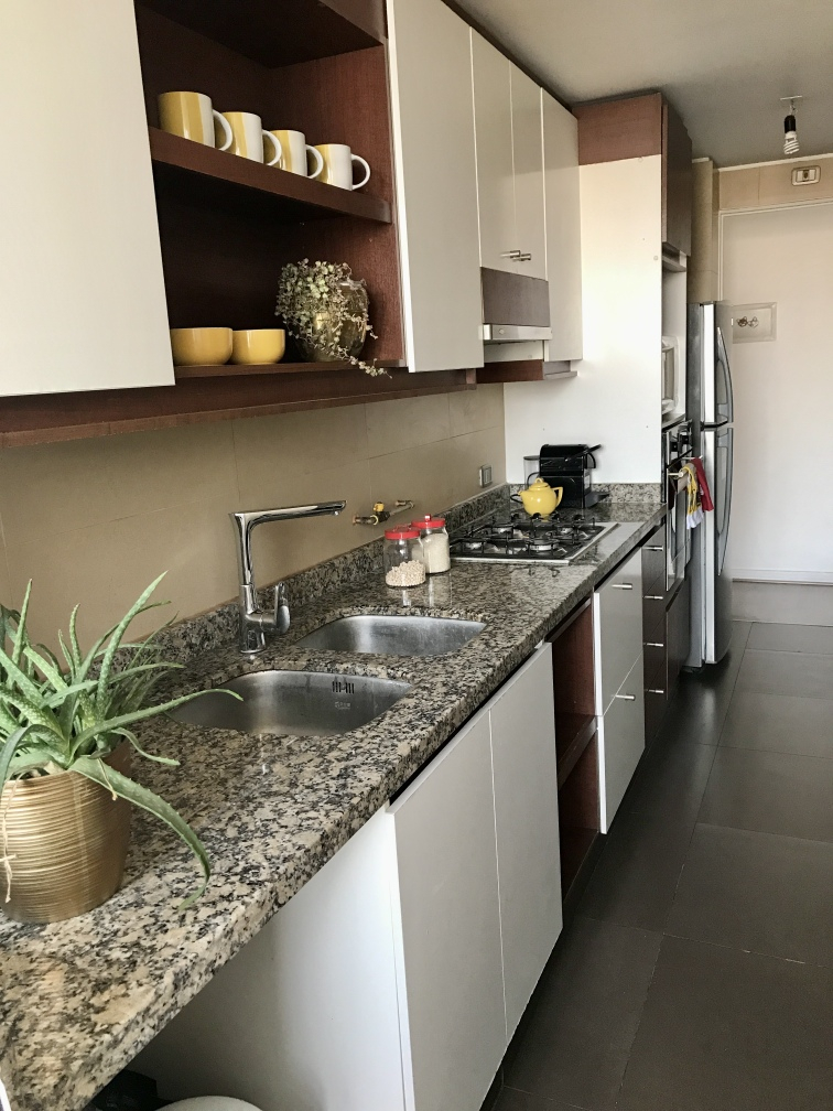 Arriendo Departamento 3D 2B 1E 1B Barrio Italia - Providencia