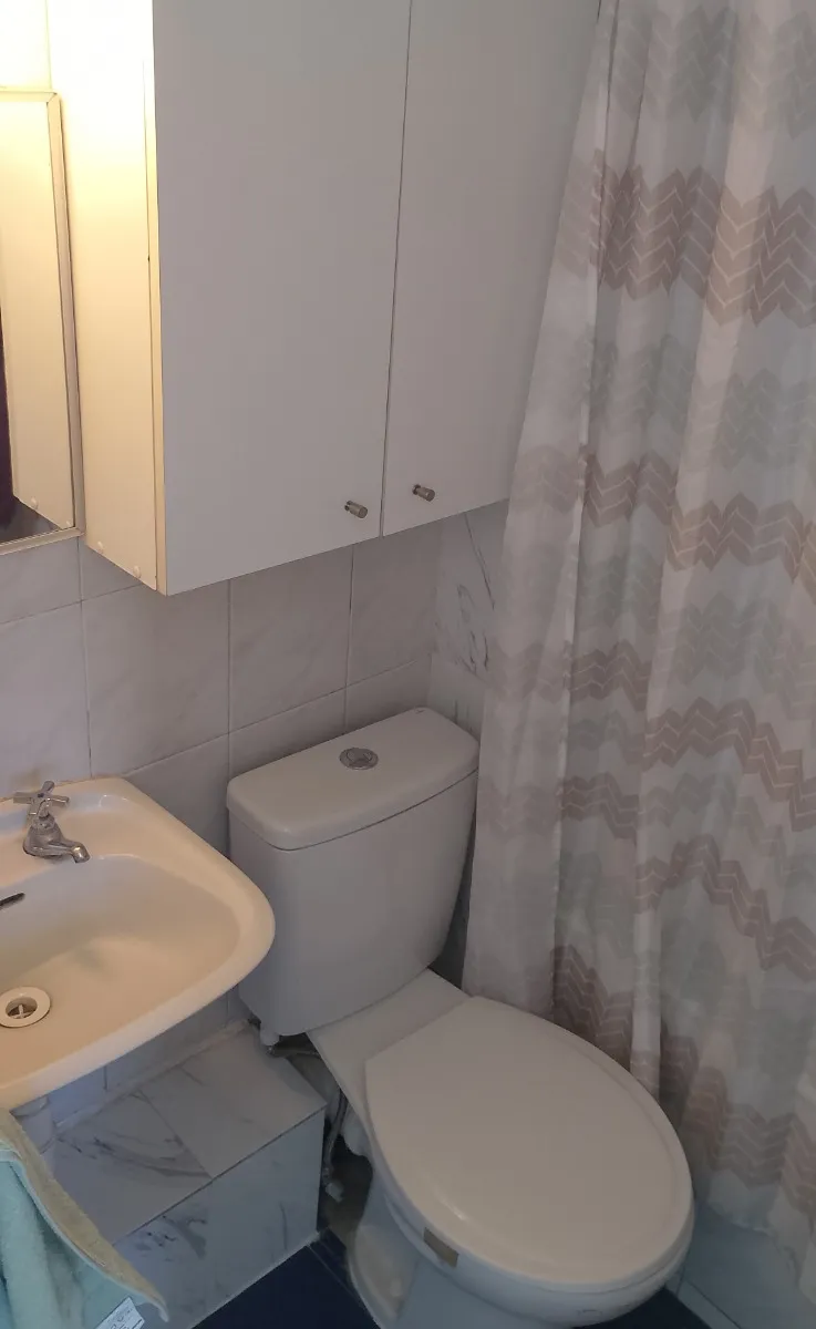 Venta Departamento NO 3D Suite 2B 1E Rotonda Atenas - Las Condes