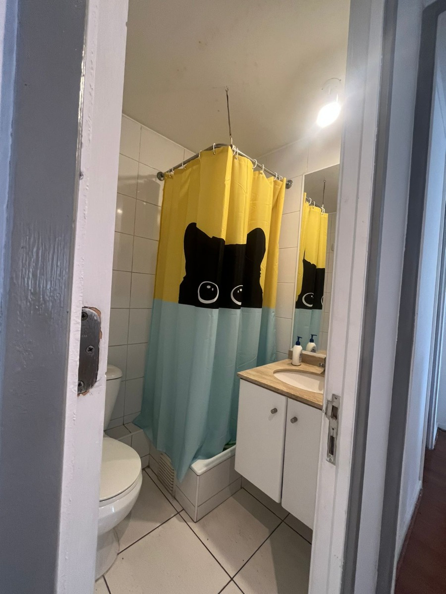 Arriendo Departamento N 2D 2B 1E Las Lilas - Providencia