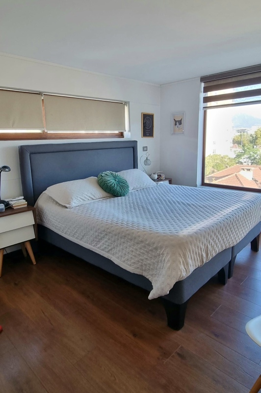 Arriendo Departamento 2D 2B 1E 1B In&eacute;s de Su&aacute;rez - Providencia