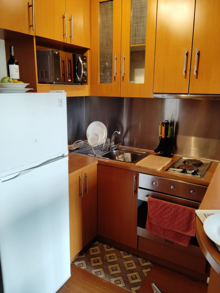 Venta Departamento 1D  - Providencia