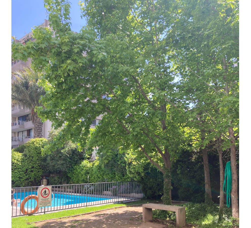 Venta Departamento P 2D en suite Walk-in cl&oacute;set 2B 1E 1B  - Providencia