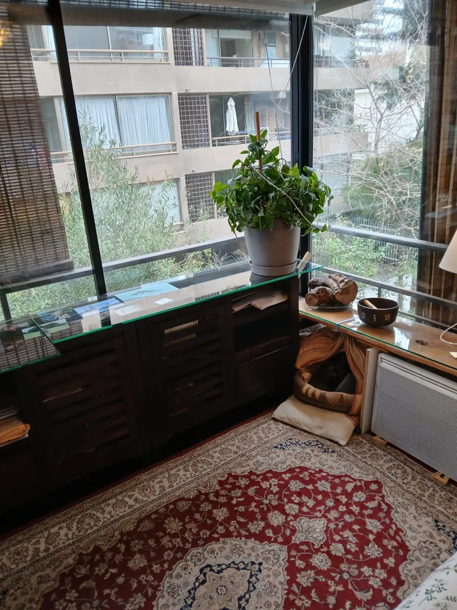 Venta Departamento P 1D WI cl&oacute;set Suite 1B 1E Las Lilas - Providencia