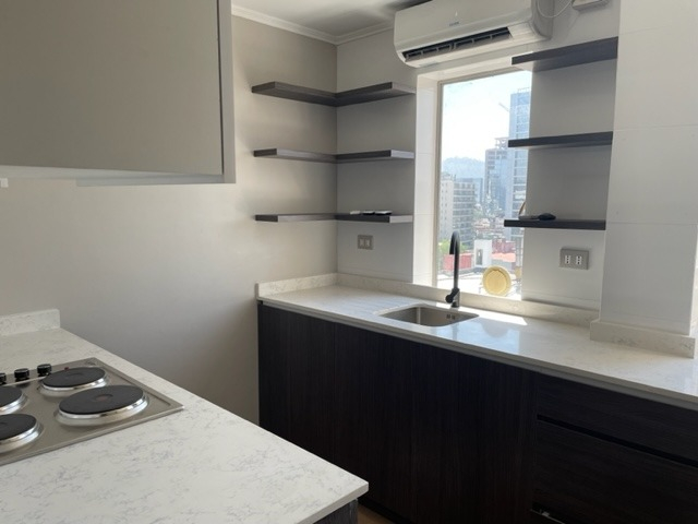 Arriendo Departamento NO 2D 2B Salvador - Providencia