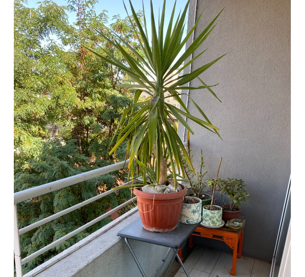 Arriendo Departamento P 2D en suite Walk-in cl&oacute;set 2B 1E 1B Metro &Ntilde;u&ntilde;oa - &Ntilde;u&ntilde;oa