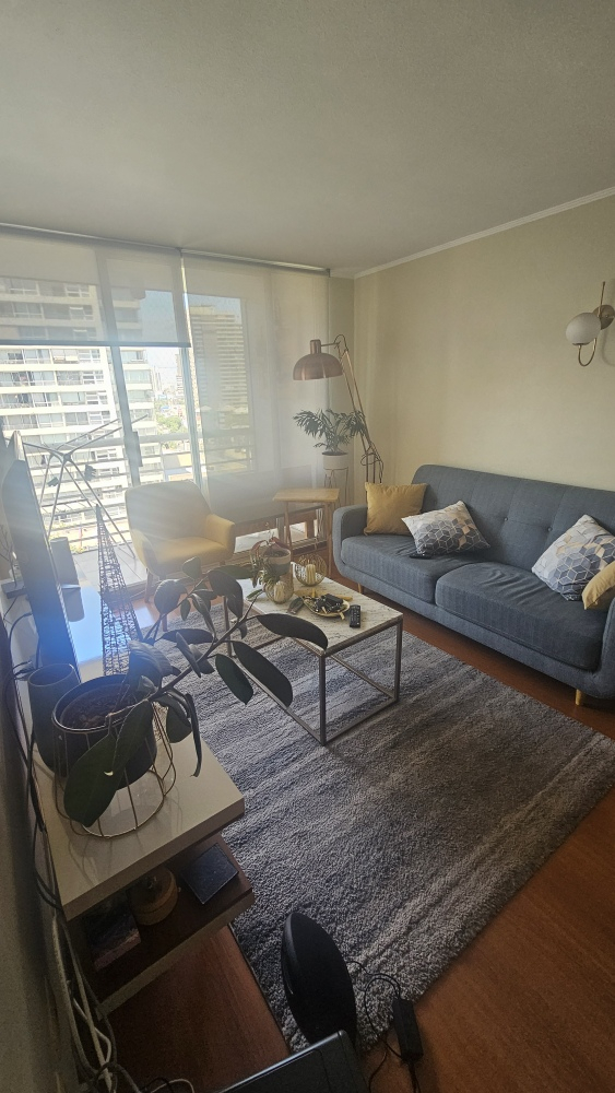 Arriendo Departamento 2D 2B 1E 1B Barrio Italia - Providencia