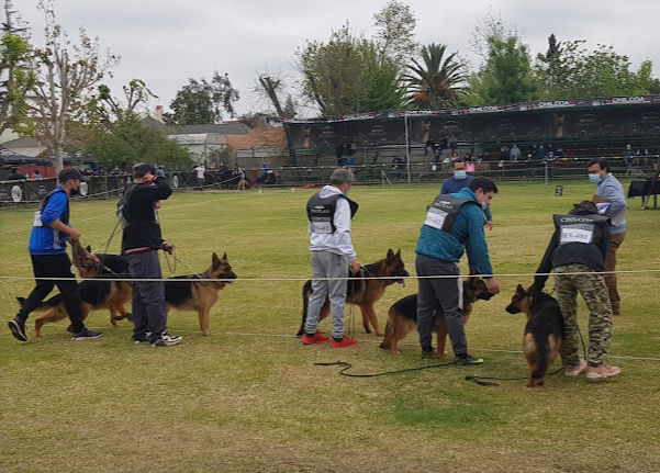 Venta Casa O 4D 2B 4E 1B  - La Reina