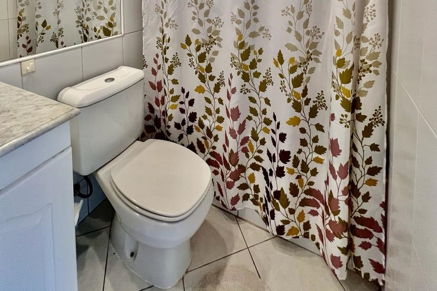 Arriendo Departamento NO 1D en suite Walk-in cl&oacute;set 1B 1E Los Leones - Providencia