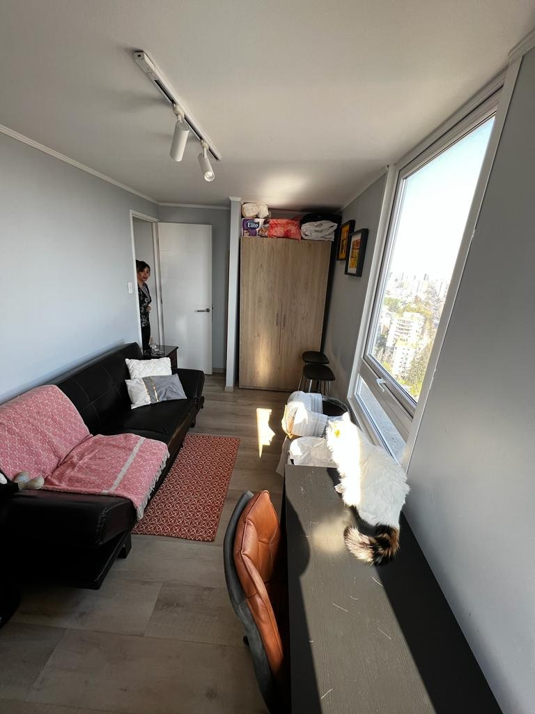 Arriendo Departamento NP 2D 1B 1B In&eacute;s de Su&aacute;rez - Providencia