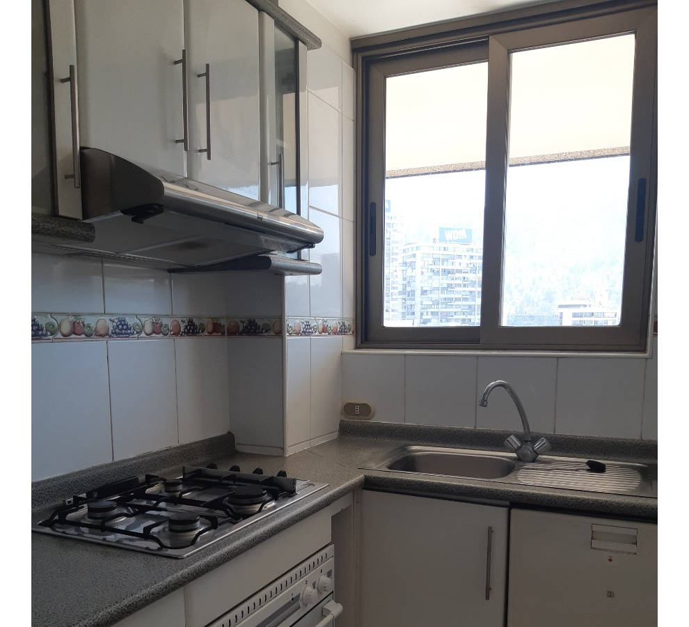 Venta Departamento NO 1D en suite Walk-in cl&oacute;set 1B 1E 1B Manuel Montt - Providencia