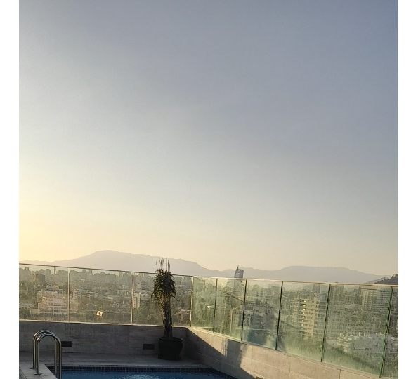 Arriendo Departamento SP 2D en suite Walk-in cl&oacute;set 2B 1E Plaza &Ntilde;u&ntilde;oa - &Ntilde;u&ntilde;oa