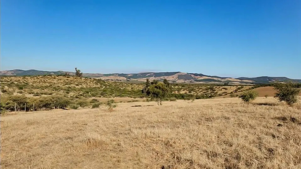 Venta Terreno 21 hectarias - Cauquenes, Maule