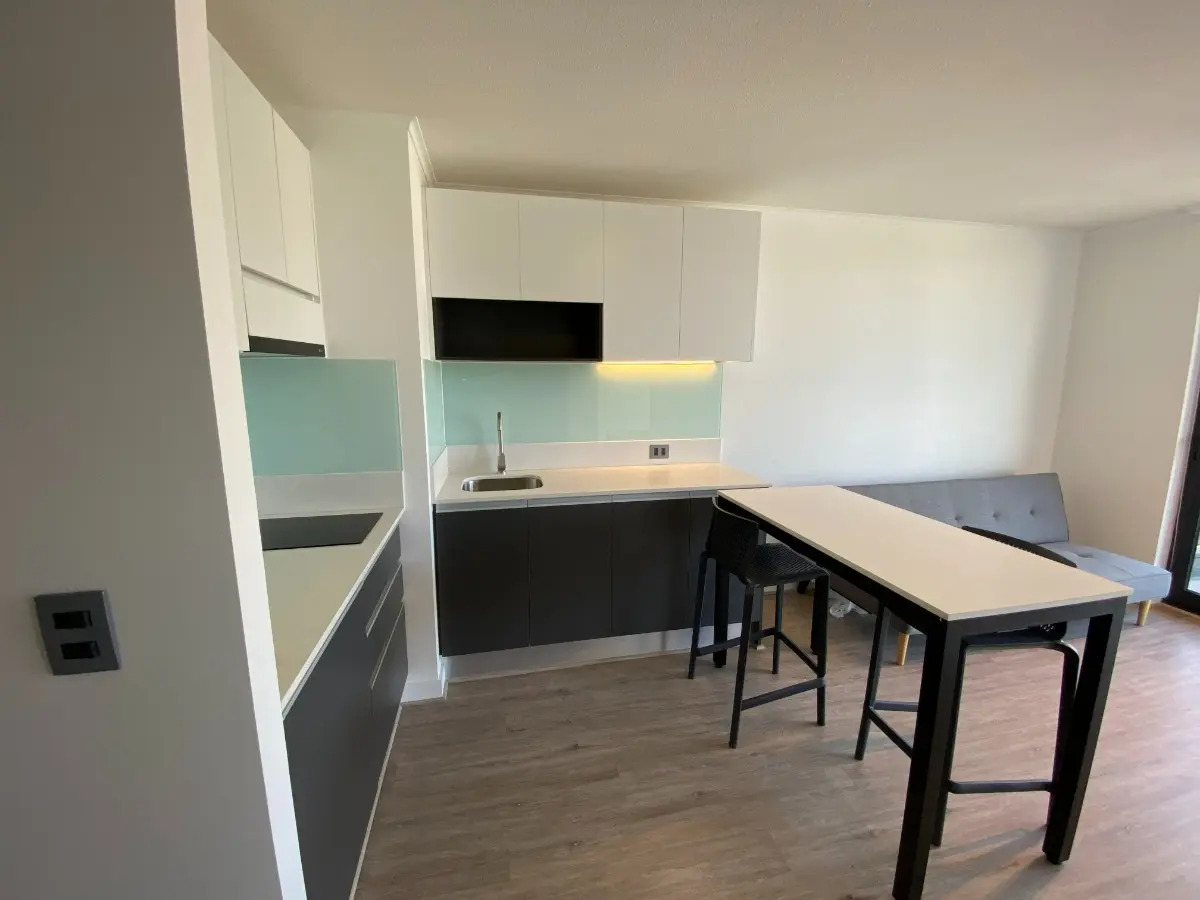 Arriendo Departamento NO 3D Walk-in cl&oacute;set 2B Pedro de Valdivia - Providencia
