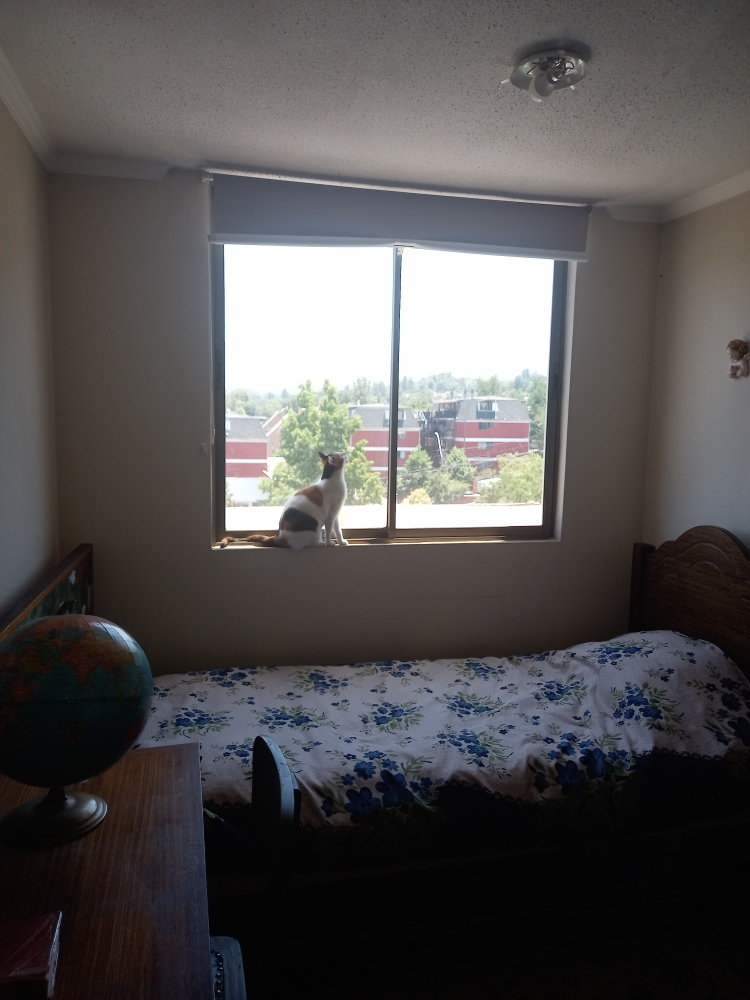 Venta Departamento 3D 2B Antigua Lo Barnechea - Lo Barnechea