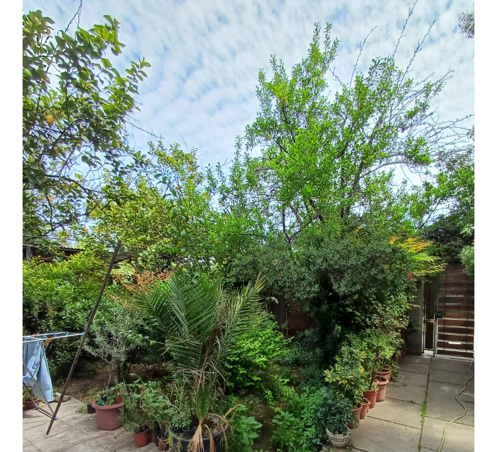 Venta Casa NOSP 3D 2B 2E 1Bd Villa Frei - &Ntilde;u&ntilde;oa