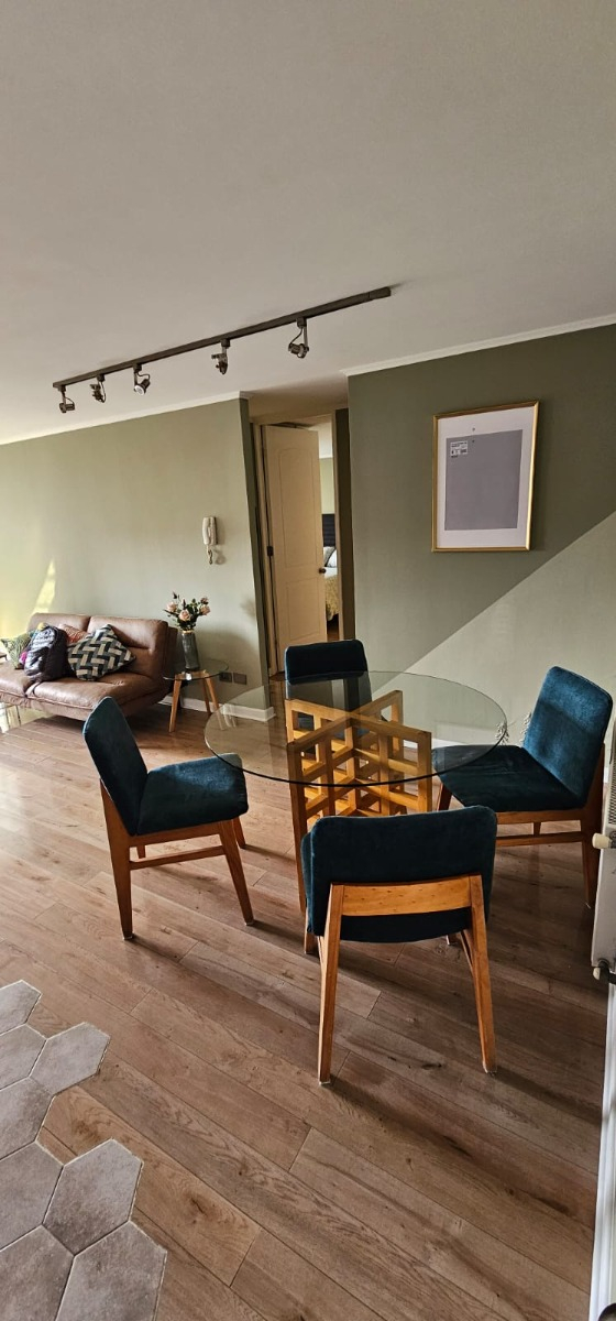 Arriendo Departamento O 2D 2B 1E 1B In&eacute;s de Su&aacute;rez - Providencia