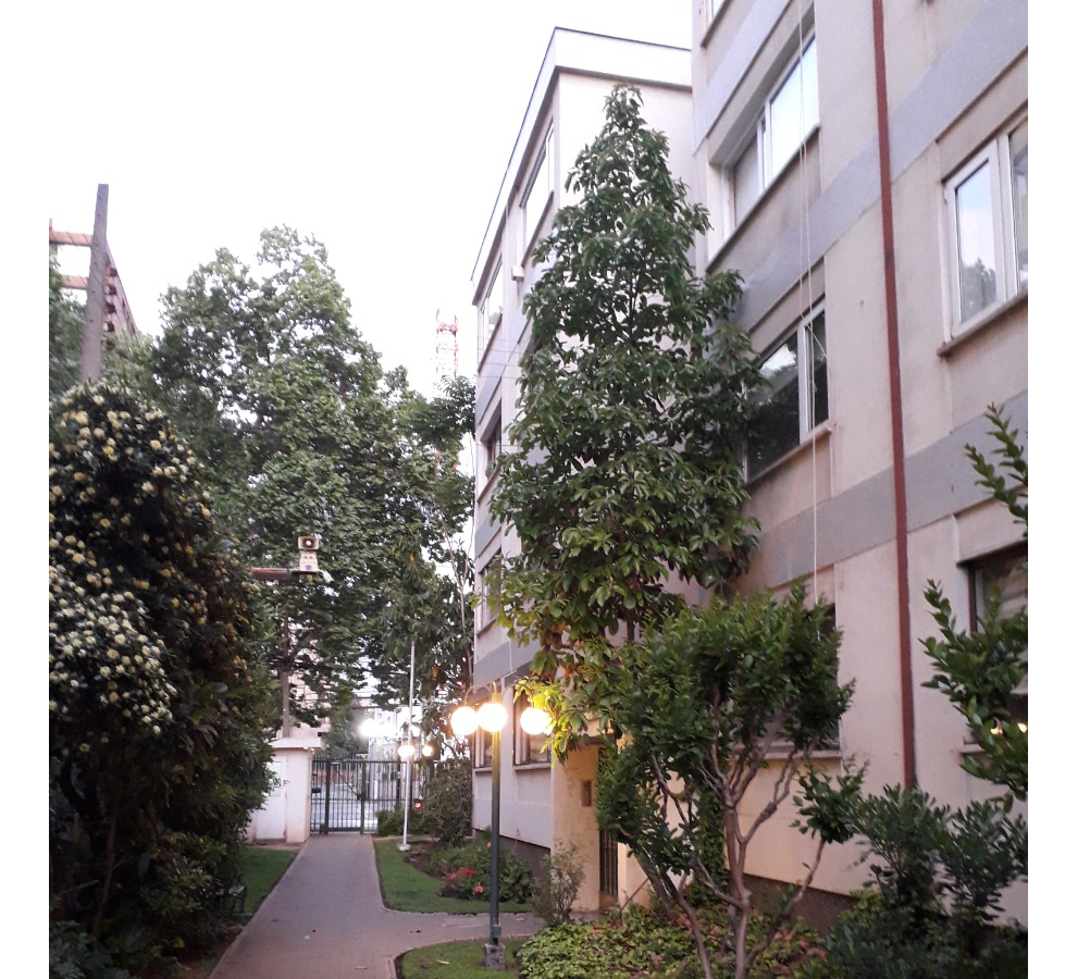 Arriendo Departamento NOSP 3D 2B 1E Metro Tobalaba - Mall Costanera - Providencia