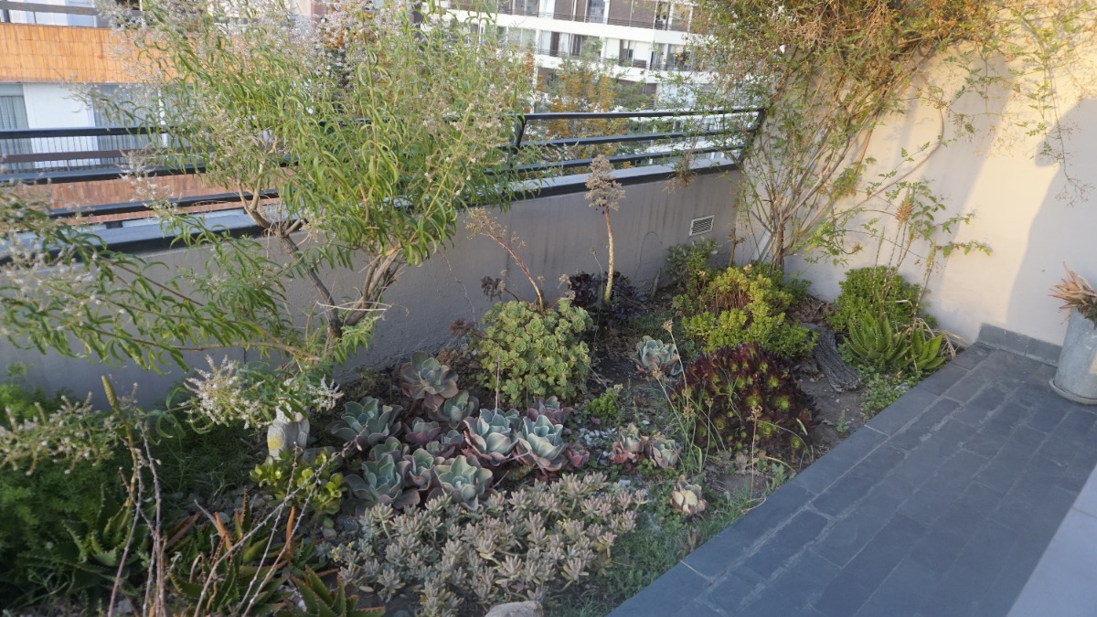 Arriendo Departamento NO 2D en suite 1B 1E 1B Las Lilas - Providencia