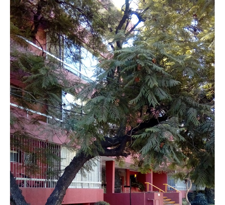 Venta Departamento N 1D 1B 1B Los Leones - Providencia