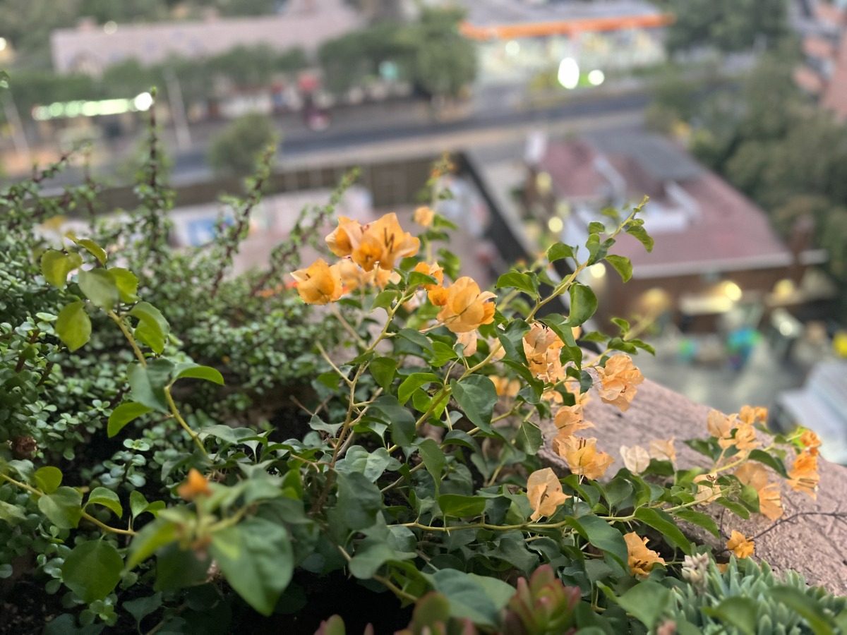 Arriendo Departamento NO 2D en suite 2B 1E Parque Bicentenario - Vitacura